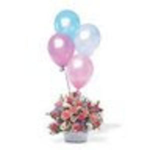 Meet your Posher, Dinh